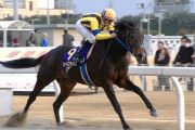 2017年川崎記念勝ち馬オールブラッシュ(牡9)、サラブレッドオークションへの出品が決定