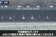 東京競馬、8R以降取り止め
