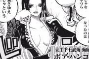 【悲報】ワンピースのハンコックさん、かませにされること確定