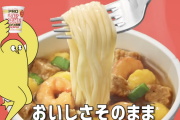 日清「どうせ何やっても売れるし、CMはふざけて適当に作ったろw」←コレ
