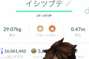 【ポケモンGO】イシツブテって毛があるのとハゲって何の違いだっけ？