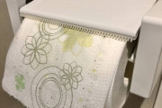 【画像】トイレットペーパーちょっと高いのにしたんだが