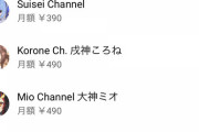 【画像】Vtuberに毎月4000円貢いでるけど質問ある？