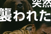 「買い物に行く途中、背後から突然襲われた」クマが住宅街で人を襲う　宮城県 60代男性けが