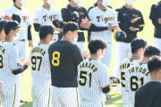 【朗報】阪神タイガースキャンプに観客2000人wwwwwwwwwwwwwwww