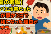 【夏の地獄】コバエ地帯だった我が家が3日で平和になった理由がコチラ