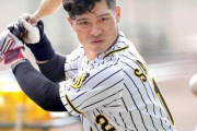 阪神タイガース来年の正捕手坂本誠志郎さんの成績がこちらwwwmmmyyywwwuuuu