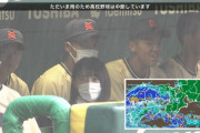 甲子園のベンチになぎちゃん似の子がいた件