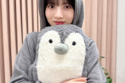 ペンギン抱きしめてる林瑠奈ちゃんが可愛すぎるんだが！！！【乃木坂46】