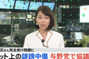 日本政府さん、ネットの誹謗中傷対策に本気を出す模様