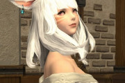 【FF14】相方にするならどっちがいい？