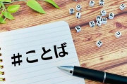 【悲報】「その言葉の遣い方は誤用だぞ」VS「言葉は変化していくものだから間違いではないぞ」