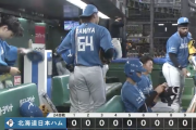 日ハム、西武に8失点零封負けで完敗...山﨑5回3失点6敗目