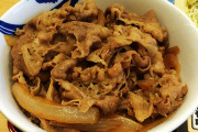 【炎上】飯島直子さんが牛丼屋から大量の紅生姜を持ち帰り / 視聴者が不快感