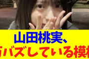 【櫻坂46】山田桃実、万バズした模様！！！