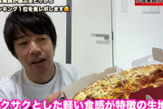 ピザハットでピザを頼もうとしてる俺を全力で止めるスレ