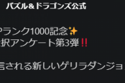 【パズドラ】Twitterアンケート第3弾！新ゲリラ「超たまドラの里」「ノエルドラゴン大集合」配信されるならどっち！？