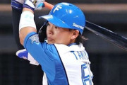 プロ野球、3割打者が絶滅危惧種になってしまうｗｗｗｗ