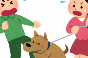 【悪質】他人の飼い犬に近づき噛まれたと主張して慰謝料請求する『噛まれ屋』が横行！その手口がこちら・・・