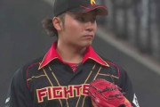 日本ハムファイターズが5年連続Bクラスになるほど落ちぶれた理由www