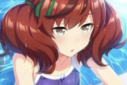 【朗報】ナイスネイチャのバースデードネーション受付終了。「ウマ娘」効果で目標額を約12倍上回る3500万円が集う