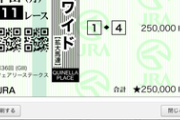 【競馬】負けてやけになる模様