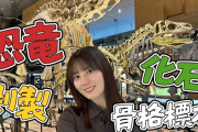 【動画】【大迫力】恐竜の骨格標本や化石、動物の剥製まで！小坂菜緒が西日本最大級の総合博物館に行ってみた！【真夏の自由研究】