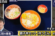 【朗報】藤井二冠の昼食　親子丼セット（冷うどん）850円