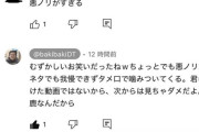 バキ童ことぐんぴぃさん、暴言レスバがバレて終わる