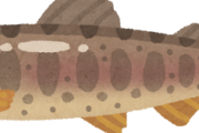 【悲報】川魚で美味しい魚←ウナギと鮎だけだよなｗｗｗｗｗｗｗｗ