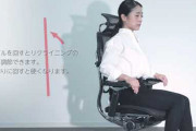 【なんJ公認】噂の高機能ワークチェア「エルゴヒューマン」買ったんだが‥‥少し後悔してる?