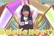 【日向坂46】4期生 岸帆夏のキャッチコピーがあの先輩と激似‥！？