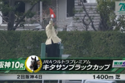 【日曜阪神10R】キタサンブラックカップ(芝1400)