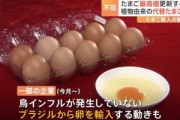日本の一部の企業､ブラジルから卵を輸入