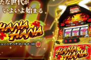 ニューハナハナゴールドの評価と感想は6号機でも遊べるのかな？