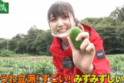 【乃木坂46】久保史緒里 魚を嫌がらずつかめてかわいい動画『畑そのまんまレストランにする。in 高崎』完全版