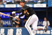 丸より打ちそうな阪神の選手ｗｗｗｙｗｗｗｙｗｗｗｙｗｗｗ