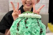 【画像】チョコミントかき氷、ガチで美味そうｗｗｗｗｗｗｗｗｗｗｗｗ