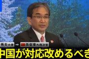 中国報道官「日本の大使の逆ギレは許さない。我々の図星を突いたことを反省しろ（怒）」  [5/24]