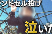 【悲報】東京の発達障害者、学ぶ場所が見つからない…「情緒学級、東京は大阪の約16分の1」
