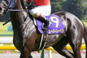 【騎手の重要性を完全証明】岡田総帥　遂にクラシック初制覇！！！
