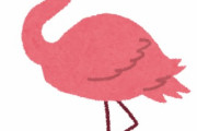フラミンゴって何で片足で立つの？