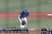 【悲報】DeNAエスコバー、ドーム球場で左腕を蜂に刺される