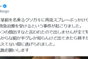 格闘家さん、大阪お祭りで催涙スプレー被害