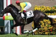 ウオッカの息子タニノフランケルさん種牡馬入り決定