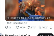台湾人「北海道旅行でいけすの６万円の生きたタラバガニ選んだのに冷凍物に替えられてた」→台湾で炎上  [4/27]