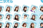 【日向坂46】おひさま、今度はクレーンゲーム攻略へ