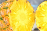 【朗報】台湾パイナップル、日米市場に定着。輸出99％が日本向け