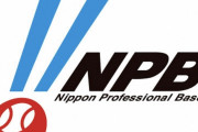 NPB『現役ドラフト2巡目拡大させます』←これどう思う？
