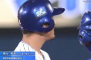 梶谷隆幸(32) .319 16本 39打点 OPS.927 13盗塁←今年FAだけど